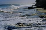 Surf