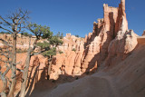 IMG_5793.JPG
