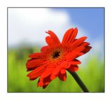 5 September - Brights!