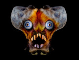 Bone-face.jpg