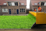Auto-Grass.jpg