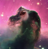Horsehead.jpg