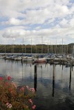 19.  The Watkins Glen marina.