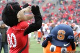 Cincinnati Bearcats mascot and Syracuse Orange mascot