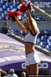 Baltimore Ravens cheerleader