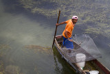 Local fisherman, Flores