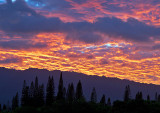 Kauai-Sunset