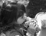 pb09-22-12-580.jpg