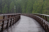 Kinsol Trestle