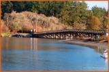 Esquimalt Lagoon