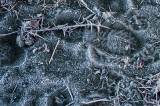 frosty foot prints.jpg