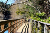 Bridge Trail 2