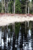 Reflections on Lake