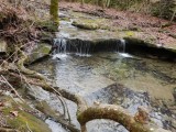 Talbott Falls