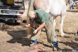 The on site Blacksmith.