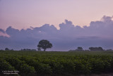 Madison-County-Sunrise