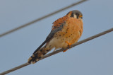 kestrel newburyport industrial area