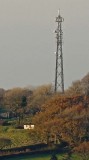 Mast from Clear Image Zooom - PP to normal photo.jpg