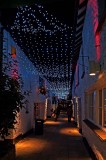 Christmas Lights 2.jpg