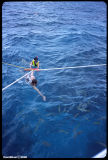 Snorkeling-3.jpg