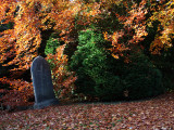 Autumn Leaves, West Cemetery, Darlington