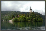 Bled the island