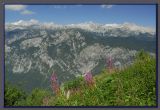 The Slovenian Alps