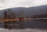 Morning scene on the river