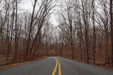 The road at Carderock