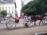 Carriage ride