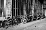 Two wheels - Tehran