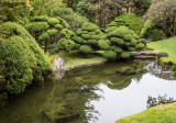 Japanese Tea garden