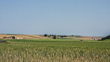 Field in the Palouse-redone
