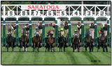 Starting Gate - 6th Race