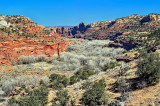 Near the Bryce Canyon NP