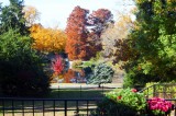 Fall colors in Louisville .jpg