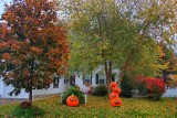 Halloween Decorations<BR>October 26, 2012