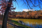 Park Pond In HDR<BR>November 22, 2012