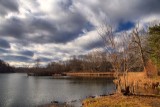 Local Pond in HDR<BR>December 11, 2012