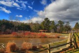 The Snow is All Gone in HDR<BR>January 31, 2013