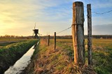 Zandwijkse molen