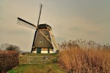 Zuid Hollandse molen