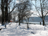 Im Winter am Rhein