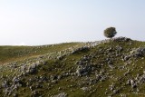 Monte Pizzoc
