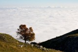 Monte Pizzoc