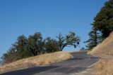 Near Redwood Forest