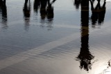 Acqua alta a Venezia