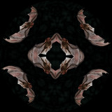 Batty Circle