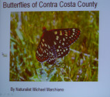 Butterfly Seminar_0082_edited-1.jpg