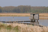 Vinne